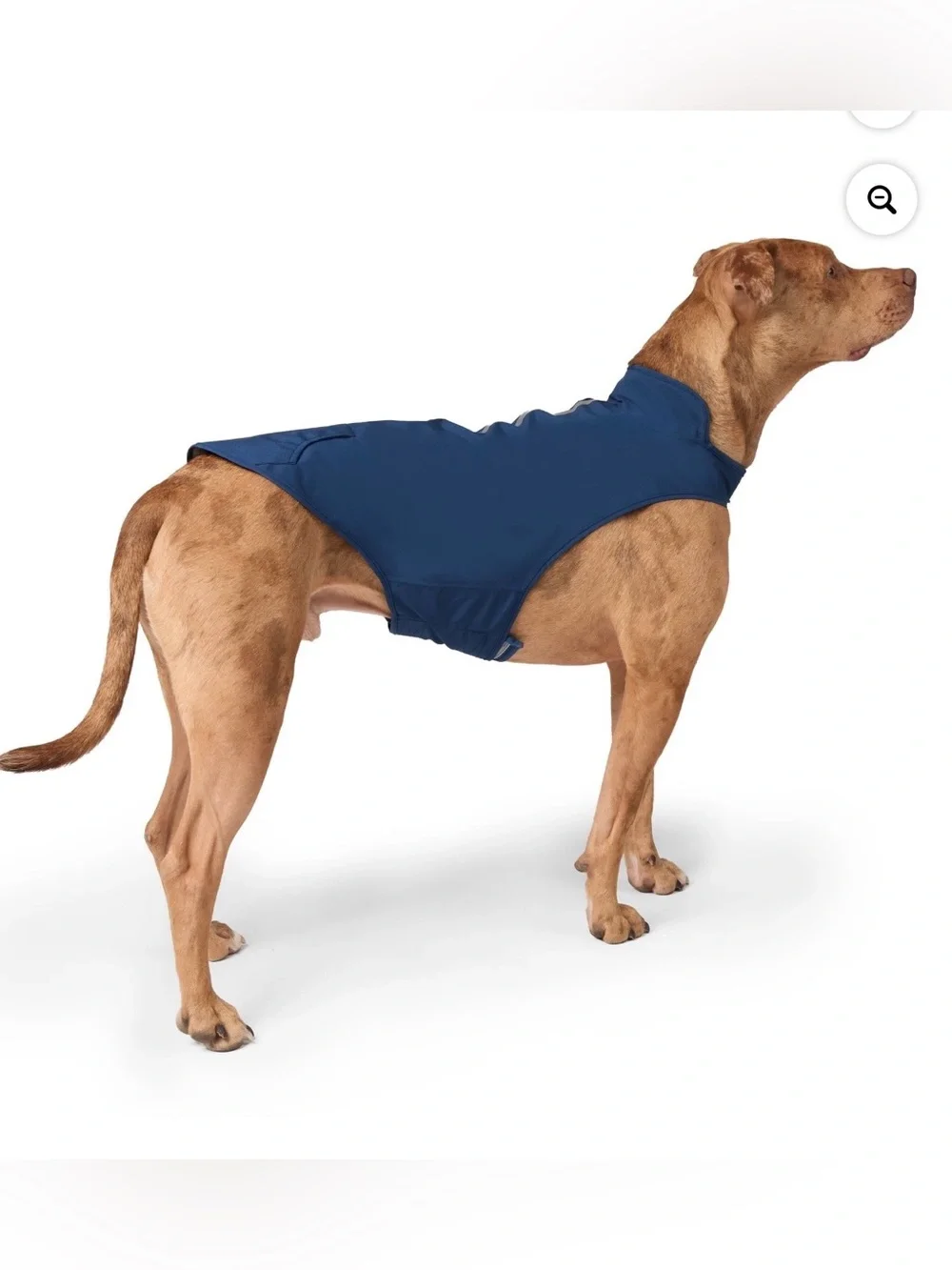 Free Country Waterproof Doggy Rain Jacket